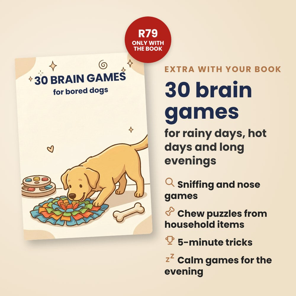 30 Brain Games for Bored Dogs